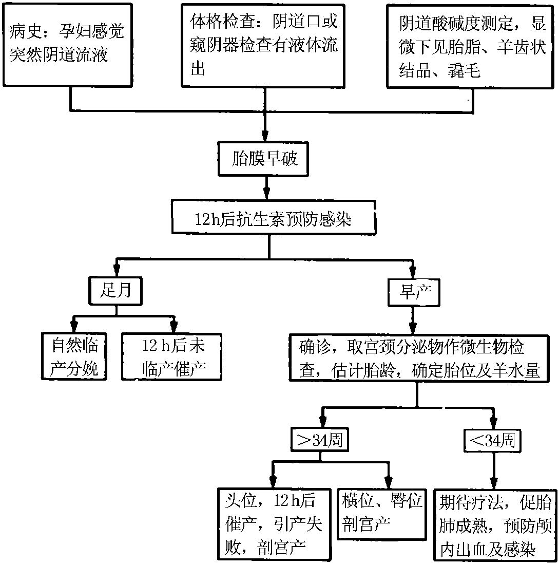 第三節(jié) 胎膜早破
